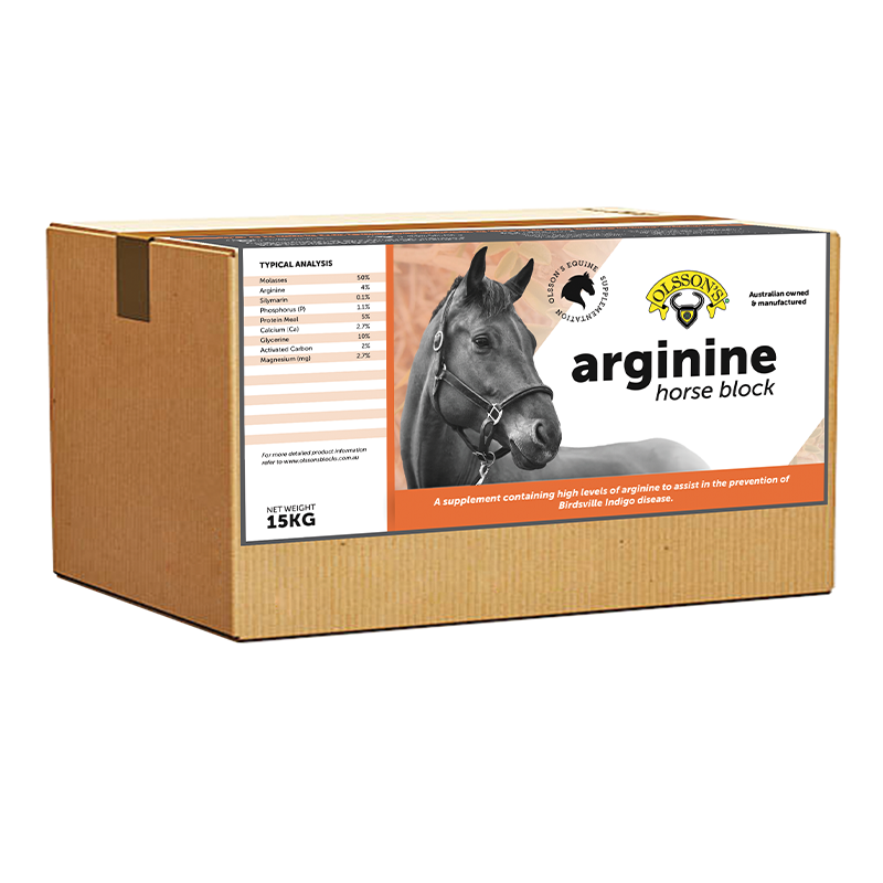 Arginine Horse